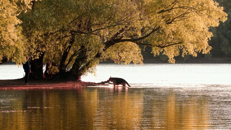 Рыболовphoto preview