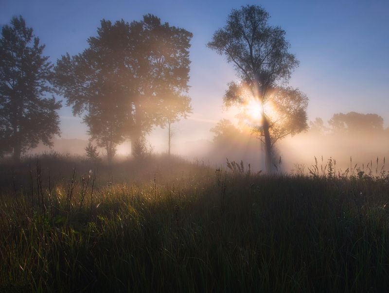 Туманное утроphoto preview