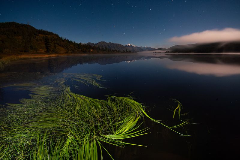 язевое, озеро, ночь, белуха, звезды, казахстан photo preview