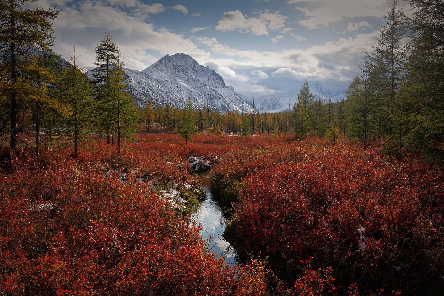 Колыма. Автор: Морозов Сергей , Морозов Сергей