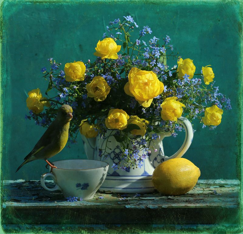 зеленушка Утро, полдень, вечерphoto preview