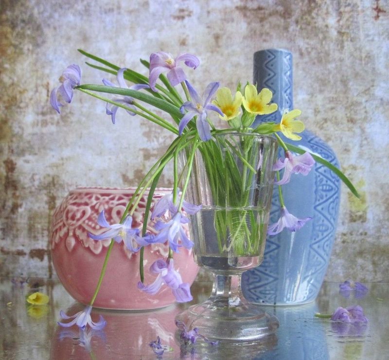 С хионодоксой и примулойphoto preview