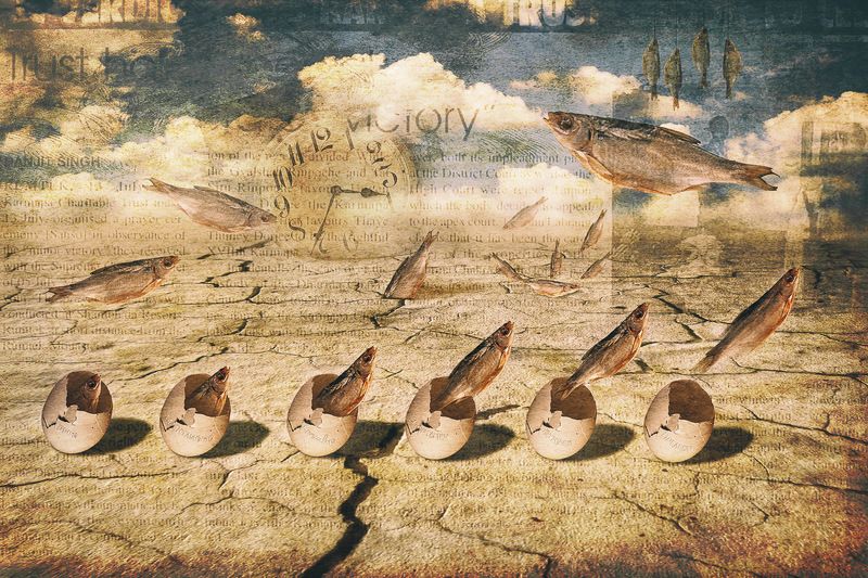 Рыбий хаос/Fish chaosphoto preview