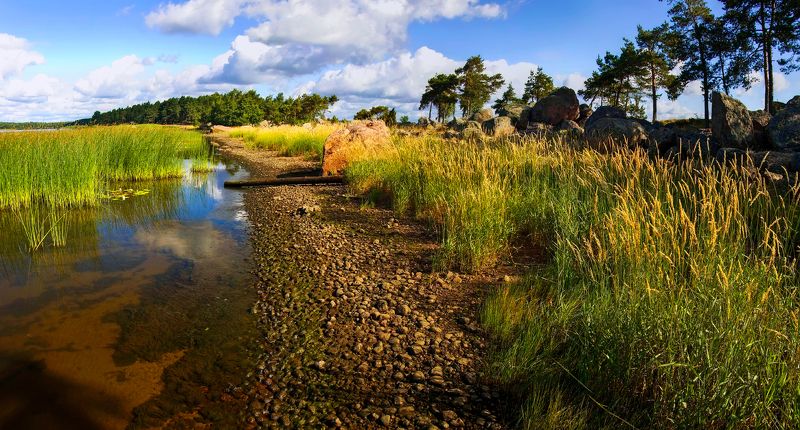 лето, озеро, камни, лес Летнее утро под Выборгом.photo preview