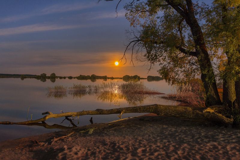 дотянуться до Луныphoto preview