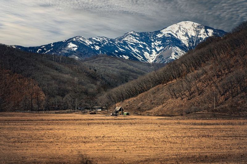 Одинокая осеньphoto preview