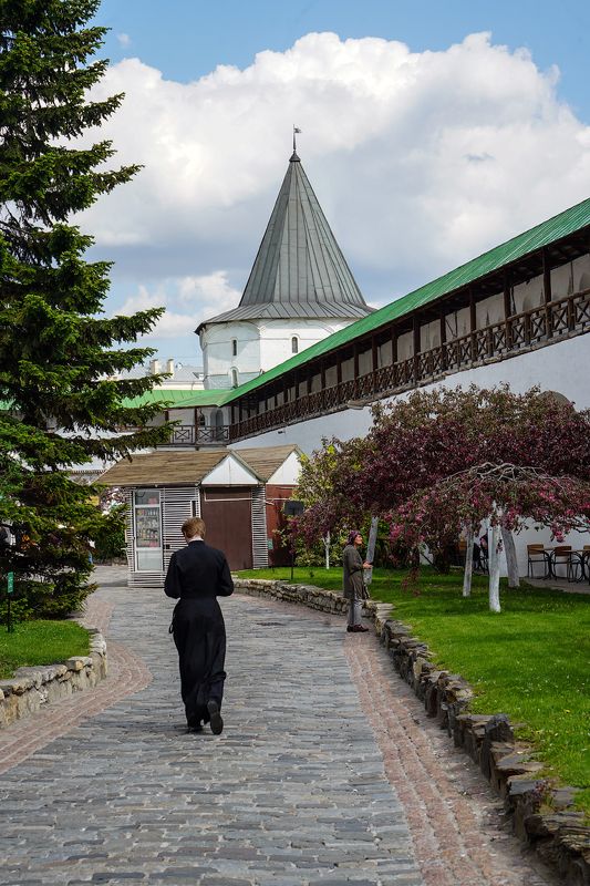 Новоспасский монастырьphoto preview