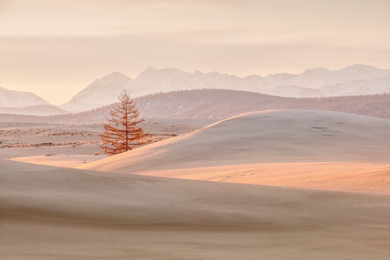 Утренний вальс... photo preview