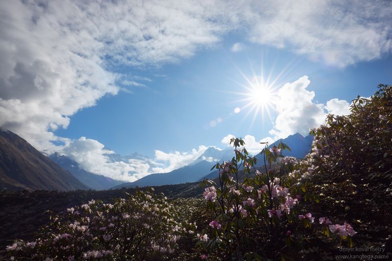 пейзажемагьё, пейзаж-как-виденье На Берегу Гималайской Весны ...photo preview
