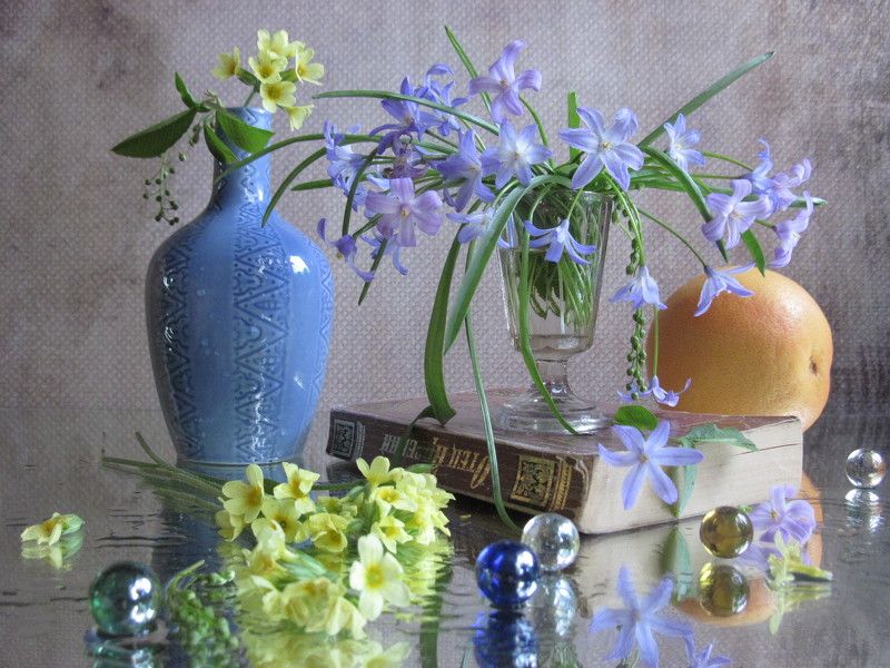 хионодокса, примула, первоцветы, грейпфрут Первенцыphoto preview