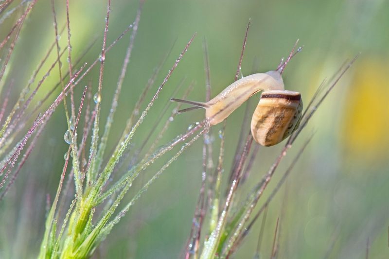 “В юном месяце апреле…»photo preview