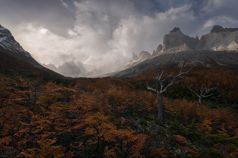 French Valleyphoto preview