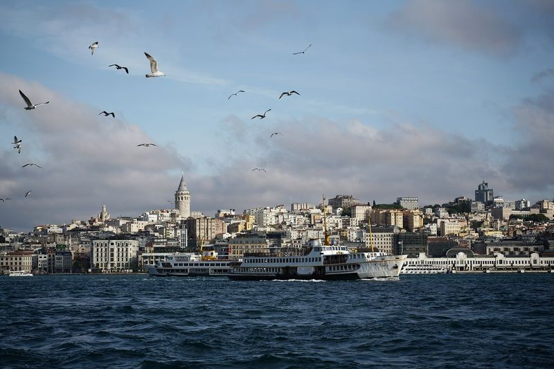 morning, city, embankment, sea, ferry, ship, traffic, transport, shore, architecture, sky, seagull, bird, tower Istanbulphoto preview