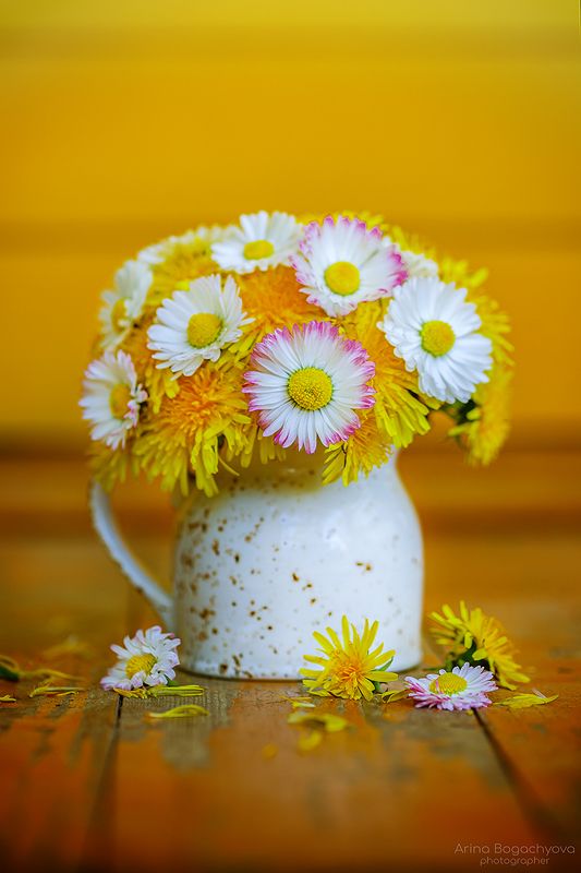 *** фото превью