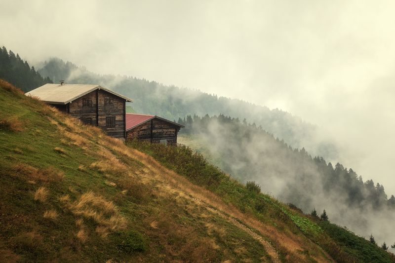 Туман в горахphoto preview