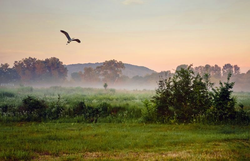 пейзаж, дымка, природа, Скоро летоphoto preview