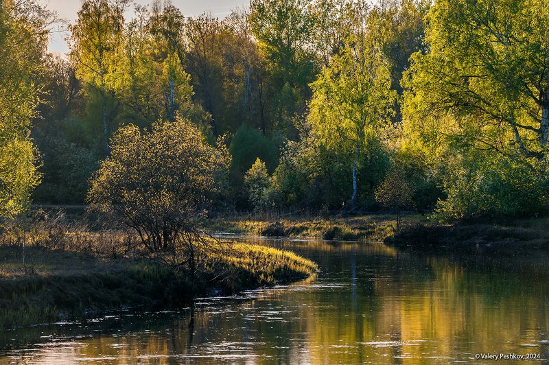 весна, май, разлив, лесная река, ольха, берёза, мещёра, рязанская область. У майской рекиphoto preview