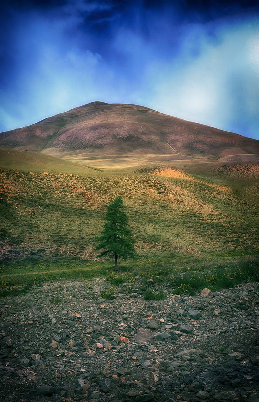 Последнееphoto preview