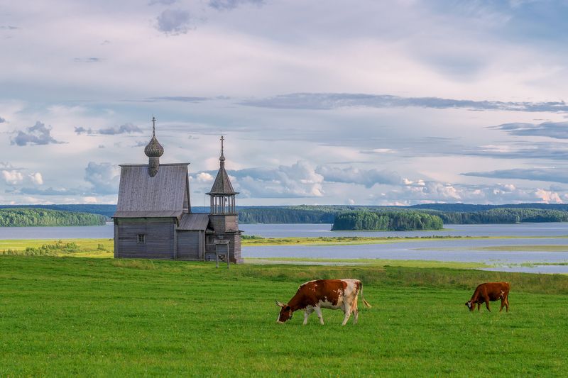 север вершинино кенозерье Северная пасторальphoto preview