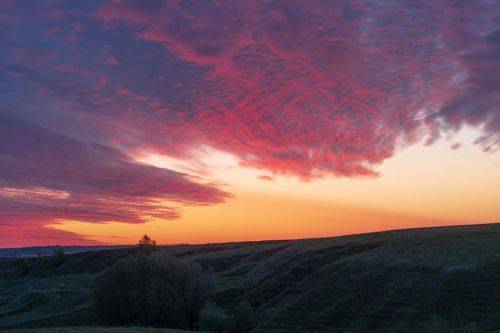 Происхождение имени Алина: тайна, о которой молчат словари