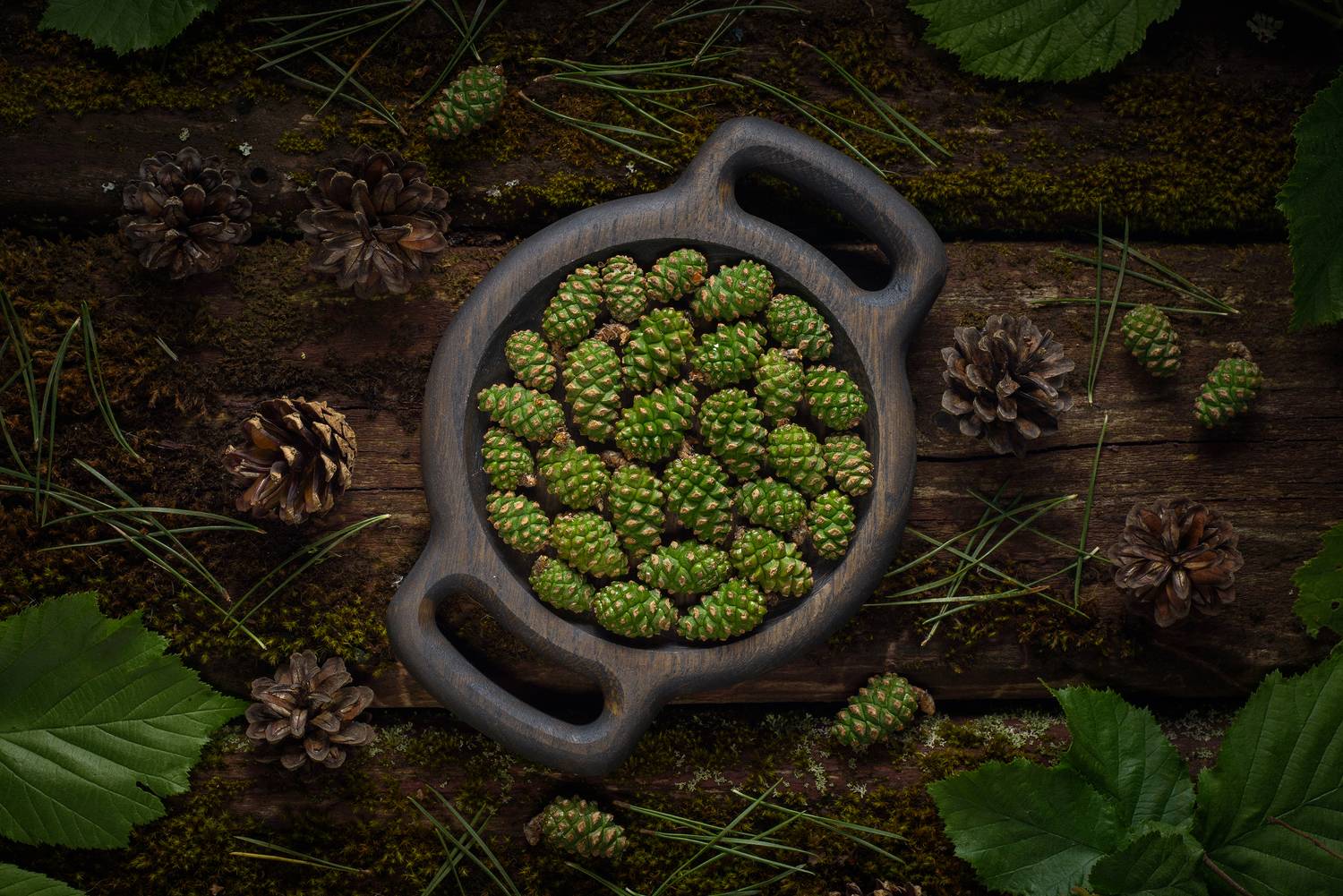 , Сизов Кирилл