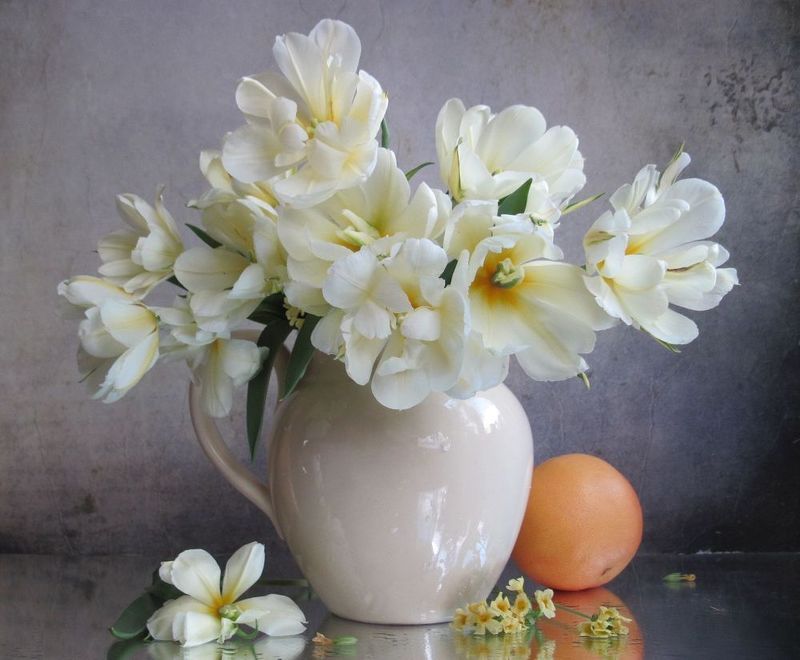 тюльпаны, грейпфрут, белый цвет Мои няшкиphoto preview