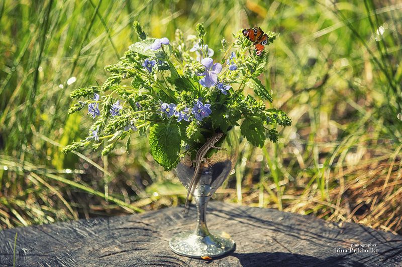 натюрморт, букет, цветы, природа, пленэр Миниатюрный букетик на пенькеphoto preview