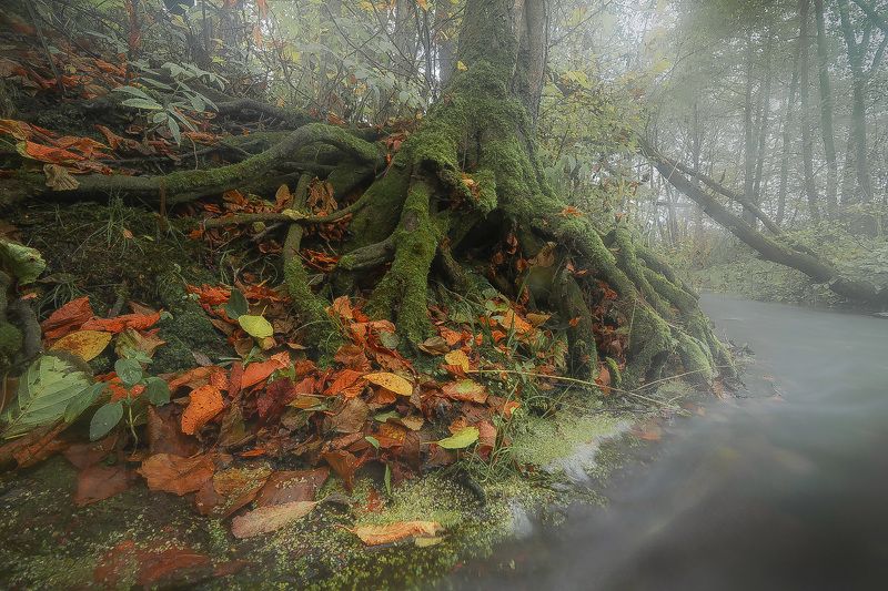 проход  в тайну photo preview