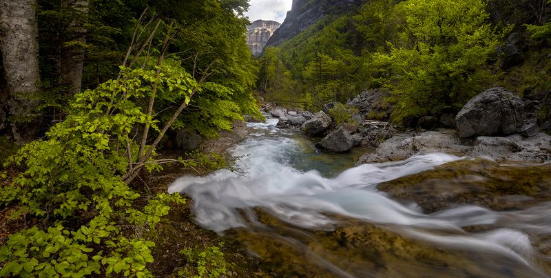 photo, photography, picture, land, landscape, nature, spring, river, color, mood , colorful, snow, winter Spring Songphoto preview