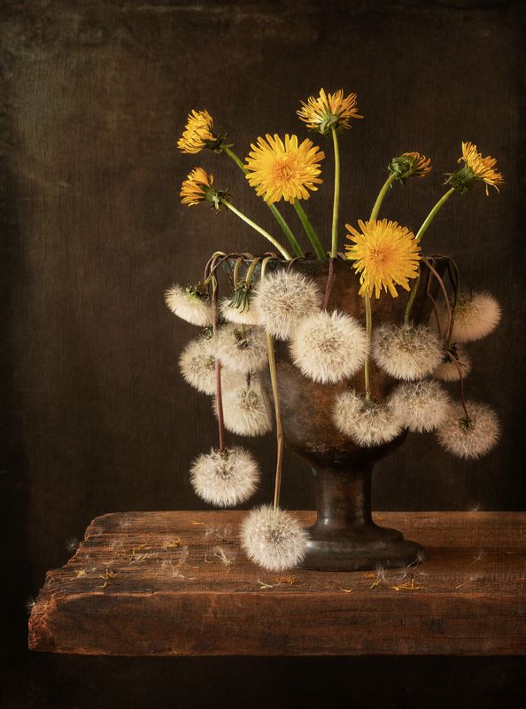 Метаморфозы.photo preview