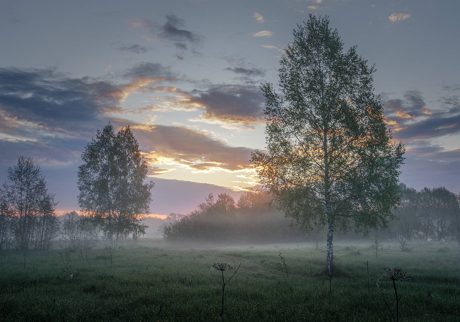 Автор: Андреев Николай , Андреев Николай