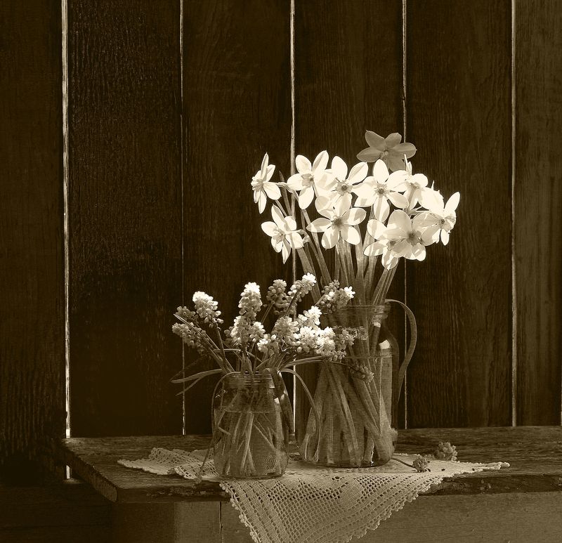 натюрморт, фотонатюрморт, still life, stillifefoto, фотохудожник, весна, цветы, нарциссы, мускарики, художественное фото, наталья казанцева, букет, цветочный натюрморт, монохром С весенними цветамиphoto preview
