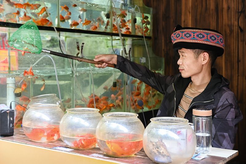 Продавец золотых рыбокphoto preview