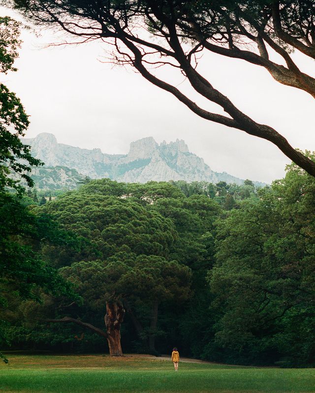 Прогулка в Воронцовском парке фото превью