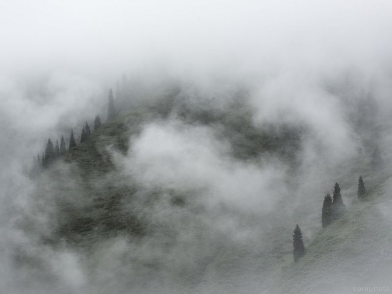 тянь-шань, казахстан Тянь-Шань. Казахстан. фото превью