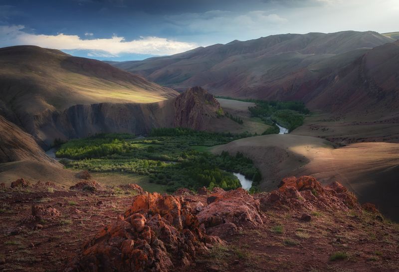 алтай, горный алтай, пейзажи алтая, кош-агачский район, горная река, кокоря, горы, летний алтай, горная степь Лето в урочище Кокоряphoto preview