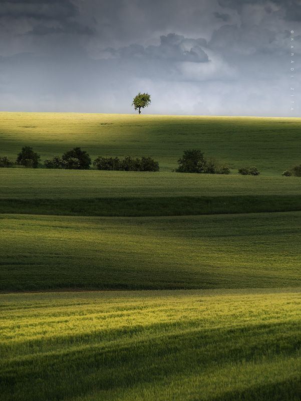 czech, moravia, south_moravia, landscape, lights, hills, field, trees, tree, agriculture Playing With lightsphoto preview