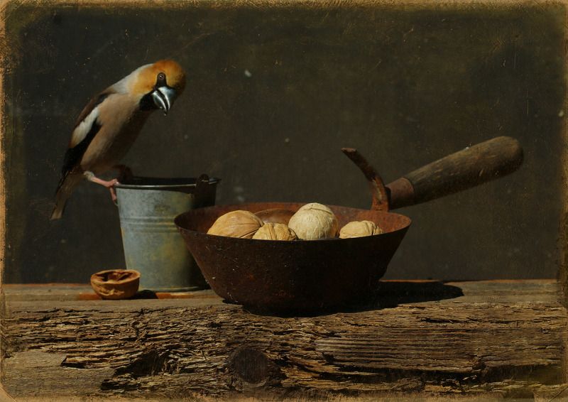 Натюрморт с орехамиphoto preview