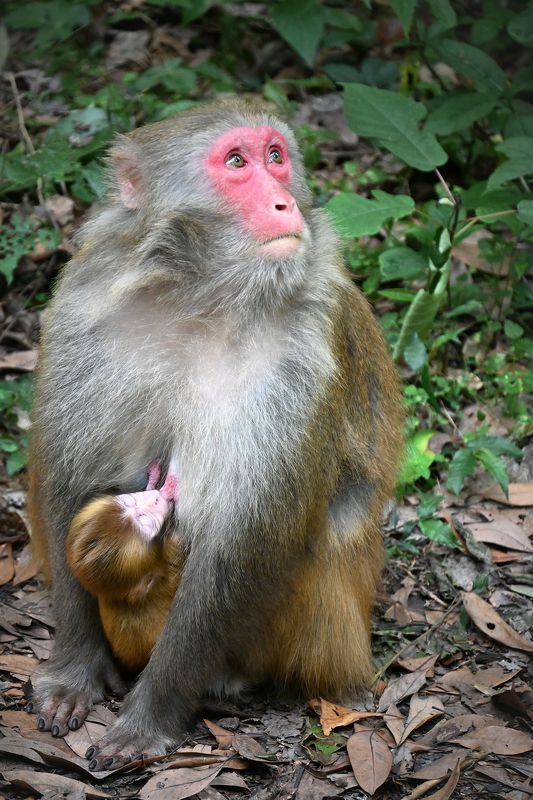 Взрослые и детиphoto preview