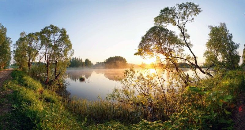 туман,утро. Утро на пруду.photo preview