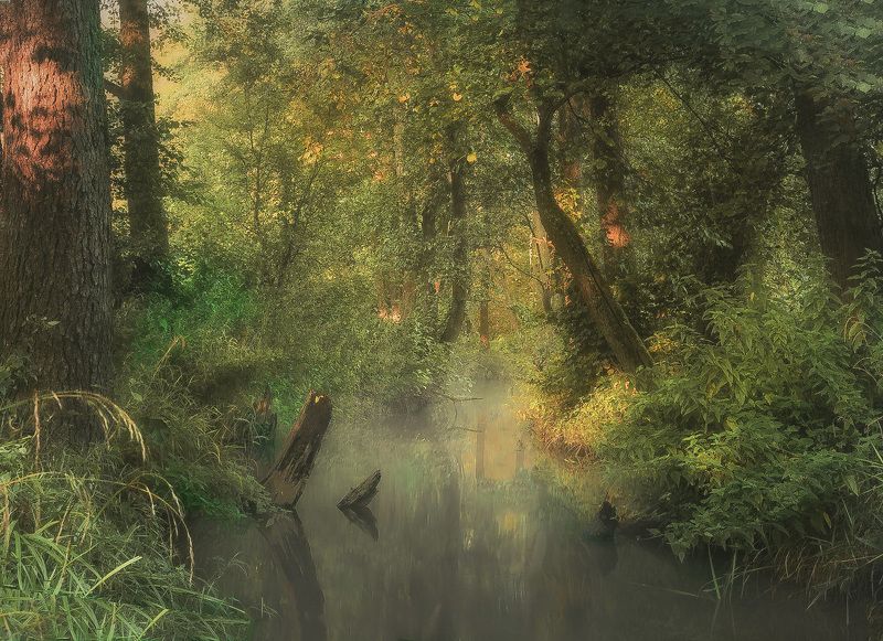 таинственная речка  photo preview