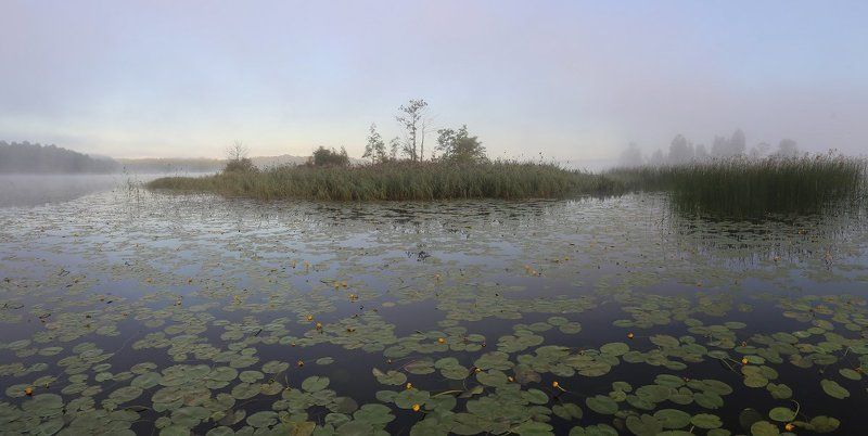 Дожидаясь восходаphoto preview