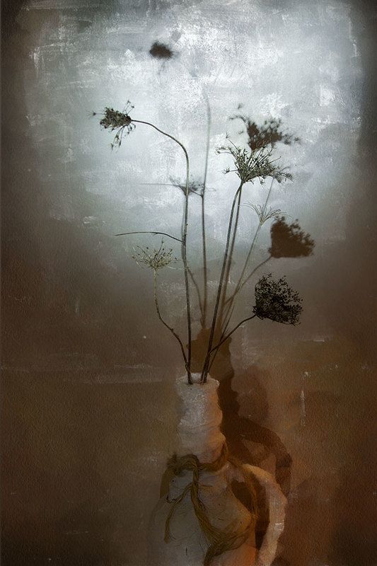 восход голубой луныphoto preview