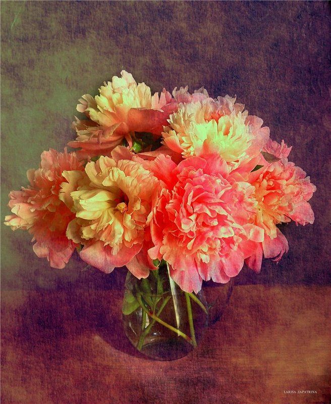 Пионыphoto preview