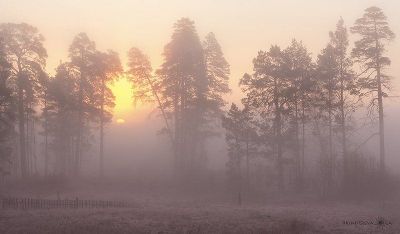 Там, за туманамиphoto preview