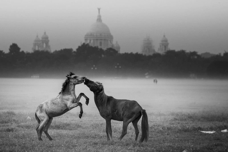 Anirban Mandal, India