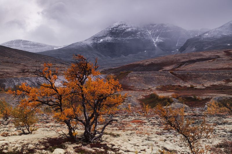 природа, Норвегия,осень, горы Rondane, National Park, Norwayphoto preview