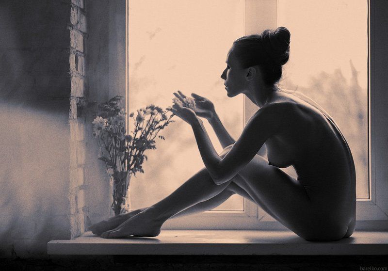 nude, art, nu, erotica, window, flowers ***photo preview