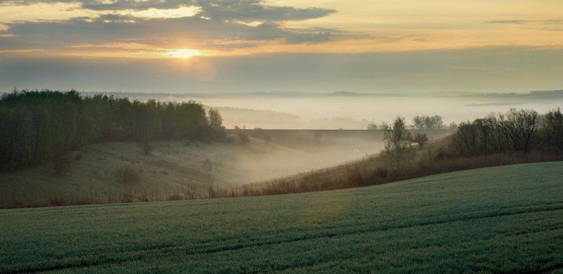 Утренние туманыphoto preview