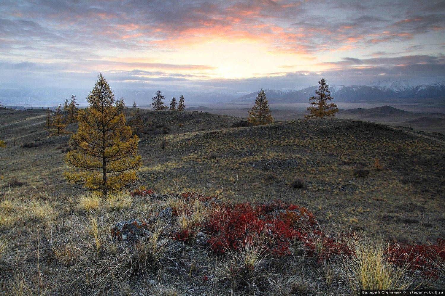 Алтай, степь, Курай, горы, Степанюк Валера